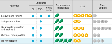 Bioremediation is a form of environmental cleanup which relies on biological organisms such as plants, fungi, and microorganisms like bacteria. What Is Bioremediation Biorangers Inc
