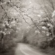 Black And White Road Photography Black And White Photography Landscape Nature By Nicholasbellphoto Black And White Landscape Landscape Photography Landscape Photography Tips