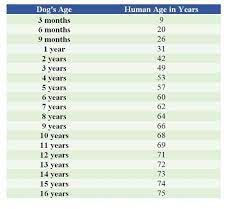 Larger dogs, therefore, grow faster than very small dogs. Genetics Shows How To Convert A Dog S Age Into Human Years Psychology Today