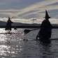 2025 Halloween Witches Paddle Sponsored by the event image