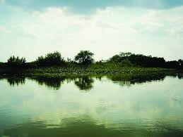 See 155 unbiased reviews of hortobagyi csarda, rated 4 of 5 on tripadvisor. Hortobagy National Park The Puszta Unesco World Heritage Site View Download Scientific Diagram