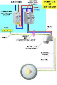Detecteur Jpg 1000 1500 Diy Electrical Electrical Engineering Electricity