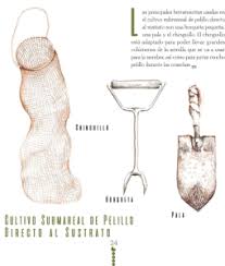 IFOP pone a disposición interesante Manual de Cultivo para acuicultores de  pequeña escala