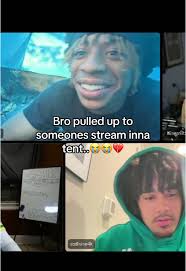 My Buddy Left The Tent Open with Light