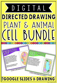 Digital Directed Drawing In Google Slides Cell Bundle Directed Drawing Cells Project Animal Cell
