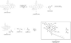 Image result for Caspofungin