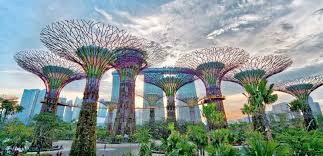 The gardens by the bay is a nature park spanning 101 hectares in the central region of singapore, adjacent to the marina reservoir. Combo Gardens By The Bay With Marina Bay Sands Skypark Singapore River Cruise
