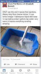 Most Recent Absolutely Free Bathroom Floor Cleaner Tips Diy Home Cleaning Household Cleaning Tips Diy Cleaning Products
