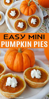 Mini Pumpkin Pies Recipe Mini Pumpkin Pie Bites Recipe In 2020 Pumpkin Pie Recipes Pumpkin Pie Recipe Easy Mini Pumpkin Pies Easy