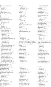 Image result for Pycreus fibrillosus