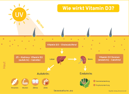Regelmäßige aufenthalte im freien bewirken normalerweise eine wenn sie medikamente einnehmen müssen, sollten sie vor dem kauf eines artikel zum thema. Vitamin D3 Mangel Wie Besiege Ich Meinen Mangel Innonature