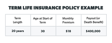 Looking at the example from before we can see a detailed breakdown of the policy's cash value: What Is Term Life Insurance Ramseysolutions Com