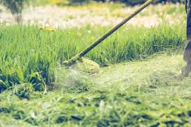 Most landscapers will include basic lawn maintenance such as lawn mowing and edging. How Much Does Lawn Treatment Service Cost In 2021 Checkatrade