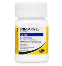 Amazon's choice for cat cold medicine. Is It Safe To Give Human Medicine To Pets