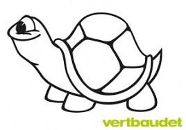 Malvorlage Schildkrote Vertbaudet Blog Ein Familien Blog Fur Eltern Kinder Mit Ratgebern Zum Thema Baby Erziehung Uvm