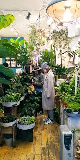 How To Install Inline Duct Fan In Grow Tent In 2020 Japanese Plants Flower Shop Interiors Plants