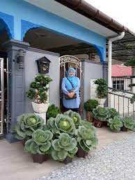 Tanaman buah dalam pot atau tabulampot, salah satu metode yang digunkan untuk membudidayakan tanaman di lahan yang terbatas. Ilham Media Tanam Sayur Dalam Pasu Kat Laman Rumah Je Facebook