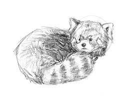 Draw and guess words, and most importantly, have fun while you're at it! Pencil Drawings Sean Blackford Art