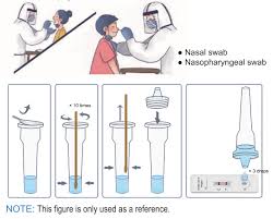 Sars Cov 2 Antigen Rapid Test Kit Biozol