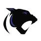 Ellsworth Girls Varsity Volleyball @ St. Croix Central