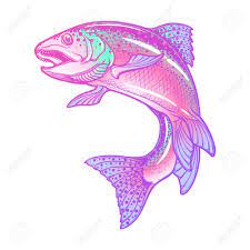 The cookie settings on this website are set to allow cookies to give you the best browsing experience possible. Realistic Intricate Drawing Of The Rainbow Trout Jumping Out Stock Photo Picture And Royalty Free Image Image 72344553