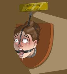 Rule34 - If it exists, there is porn of it  literaturabdsm, belle  7974136