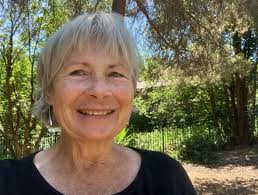 Ogden Valley City Council hopefuls for districts 1, 2 outline platforms  ahead of primary election