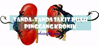 Kalau memerhatikan ibu hamil sering memegangi pinggang saat bangun dari duduk, atau terlalu banyak berjalan, harusnya ini jadi pelajaran bagi para calon ibu hamil. Tanda Tanda Sakit Buah Pinggang Kronik Ohcantik Com