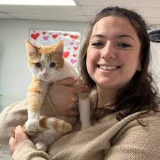 Fayette Friends of Animals