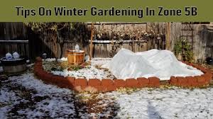 Here is some general info for usda zone 5b to help you get started. Tips On Winter Gardening In Zone 5b Youtube