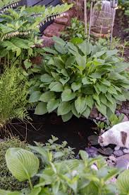 Wir haben zwei gestaltungsideen, wie ein. Tipps Zum Mini Teich Im Garten Standort Und Pflanzen Fur Den Halbschatten Leelah Loves