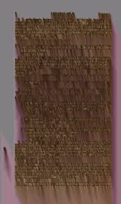 Image result for Lipocarpha atra