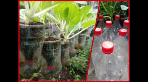 People will always find a problem cut another bottle, take off the cap and place it into the previous bottle. How To Make Self Watering Plastic Bottle For Any Plants Youtube