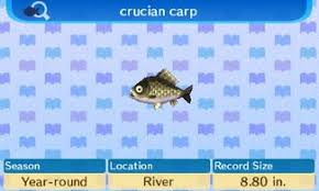 Nook'S Cranny Shop Prices Guide – Timmy'S Buying Prices In Animal Crossing:  New Horizons – Crossingcharm