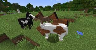 There are 10 different types of horses and all of them can be found spawning in open plains biomes (or you can use the horse spawn egg, id: Realistic Horse Genetics Mods Minecraft Curseforge