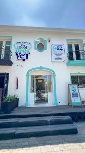 Clínica Veterinaria The Cool Dogs Vet