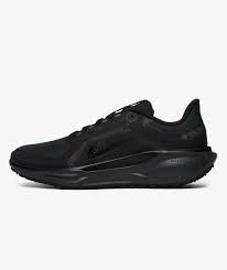 Nike Pegasus 41