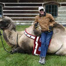 Camel hump is a mountain in oregon and has an elevation of 1505 metres. Ranch Owner Adds A Camel To The Mix Magicvalley Com