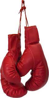 Boxing Glove Png Image Gloves Boxing Gloves Boxing Gloves Art