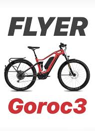 Flyer Goroc3 E Bike In 2020 E Bike Fahrrad Xxl Elektro Rad