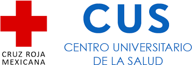 Search results for cruz roja ecuatoriana logo vectors. Download Logo Cruz Roja 01 Mobile Phone Png Image With No Background Pngkey Com