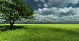  Gambar Pemandangan Padang Rumput Pulau Besar Juga Termasuk Dalam Sempadan Negeri P Pacuan Kuda 576 Landscape Wallpaper Beautiful Nature Landscape Background