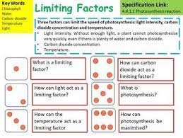 Biology Photosynthesis Limiting Factors Lesson Photosynthesis Gravity Lessons Gcse Science