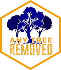 Tree service offers tree removal services to our clients who don't want some of the trees in their backyards anymore. Tree Removal Services Atlanta Ga Any Tree Removed