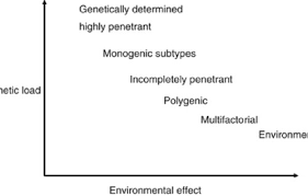 Genetic Testing And Common Disorders In A Public Health Framework How To Assess Relevance And Possibilities European Journal Of Human Genetics
