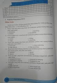 Bahasa inggris paket halaman 17 kelas 8 brainly co id. Jawaban Buku Bahasa Inggris Kelas 8 Halaman 160 Ridwan Soal