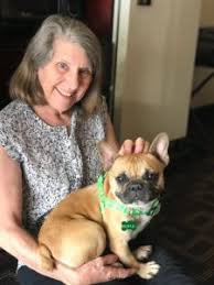 Phoenix french bulldog rescue has been established in the uk not only to offer a home to any frenchie in need within the uk, but also to educate the public on this wonderful breed, promote good ownership and to help keep frenchies at home with their families wherever possible. Mahogany Dog Ranch Rescue