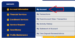 Bdo Online Balance Inquiry Fast Easy And Convenient Send Money To Philippines