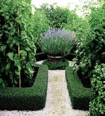 A Garden With Beautiful Lavender Formal Gardens Boxwood Garden Parterre