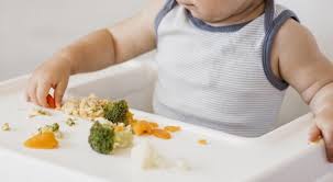 Raditya dika ekpreimen buat kue nastar pakai telur puyuh, rasanya bikin sang istri terdiam. 7 Rekomendasi Menu Mpasi Bayi 7 Bulan Untuk Minggu Kedua Popmama Com